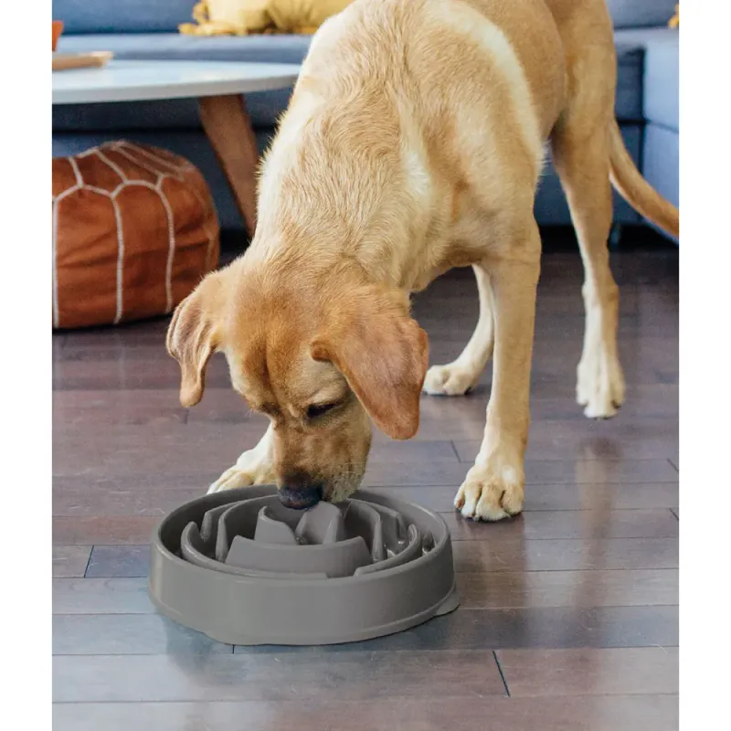 Oh Food Bowl Fun Feeder Slow-bowl Grey