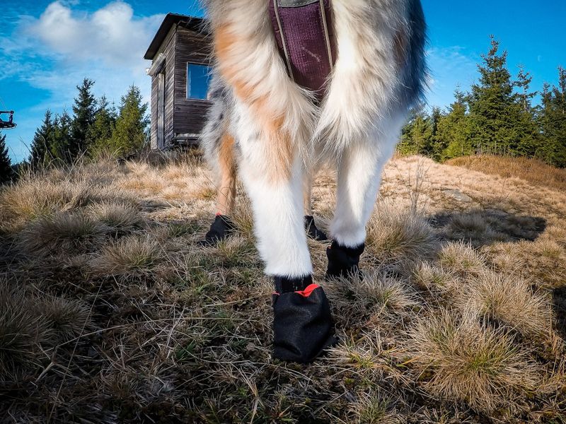 Non-stop dogwear Solid socks