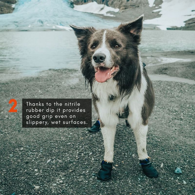 Non-stop dogwear Protector bootie potesokk