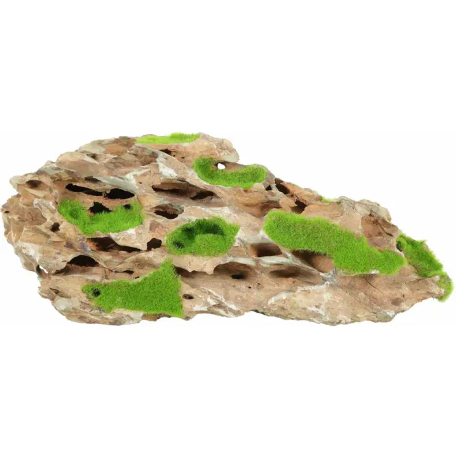 Hovedbilde Kipouss Stone S med levende plantefrø