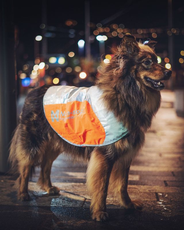 Non-stop dogwear Reflection blanket dekken