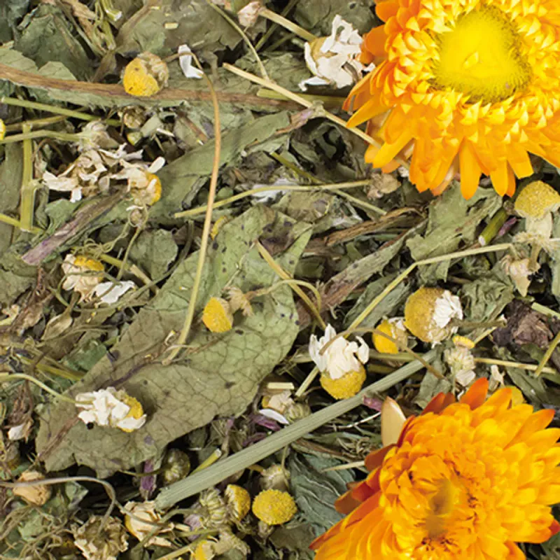 Jr Farm Grainless Plus Chamomile & Dandelion 100 g