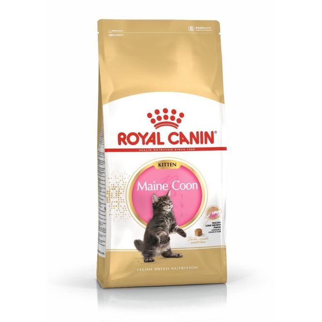 Hovedbilde Royal Canin Kattemat Maine Coon Kitten 4 kg