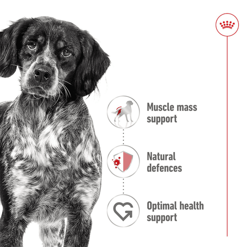 Royal Canin Våtfor Medium Adult 140g