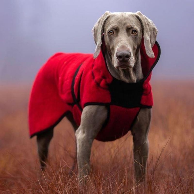 CANELANA Lana Rød - tynt ulldekken hund