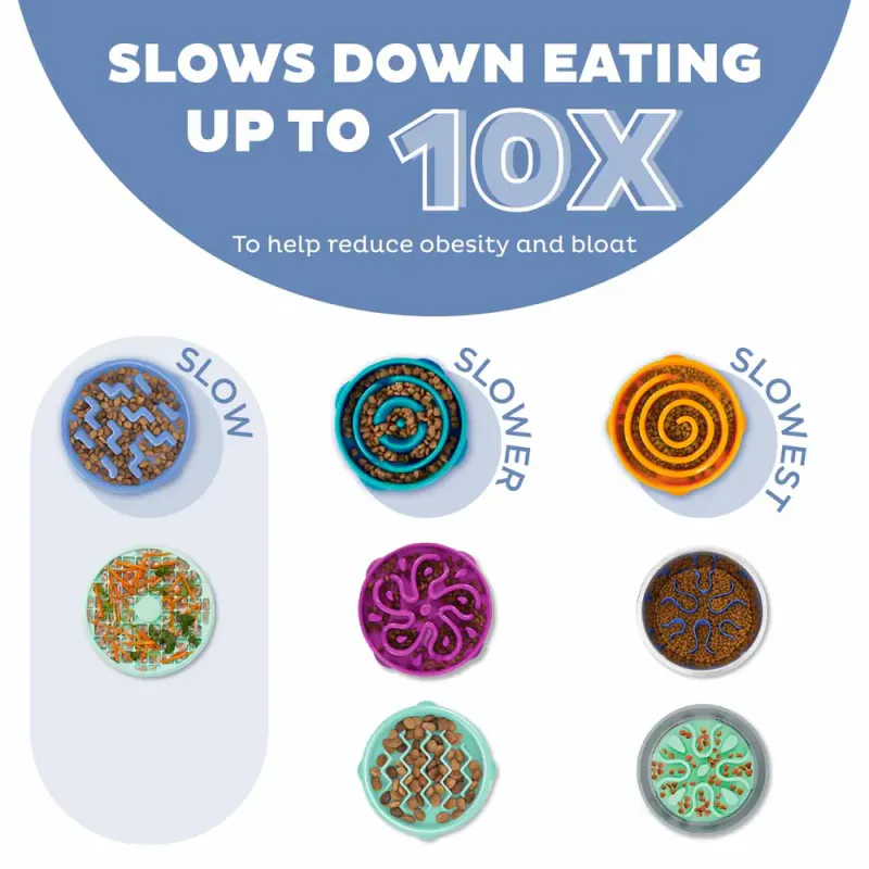 Oh Food Bowl Fun Feeder Slow-bowl