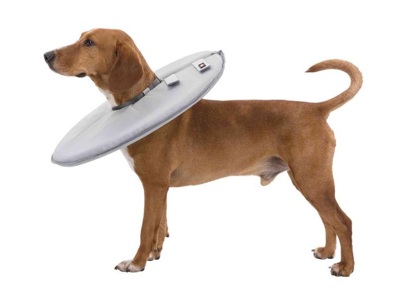 Sårkrage Polyester/Skum XS-Xl Grå