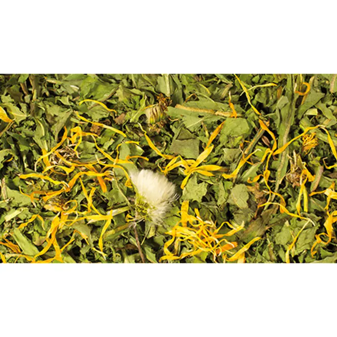Hovedbilde Jr Farm Løvetann Tørket 100 g