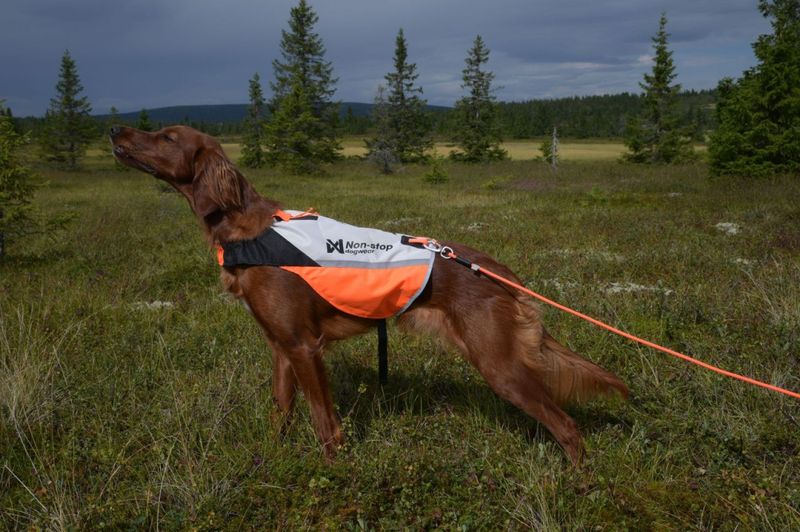 Non-stop dogwear Protector cover 2.0