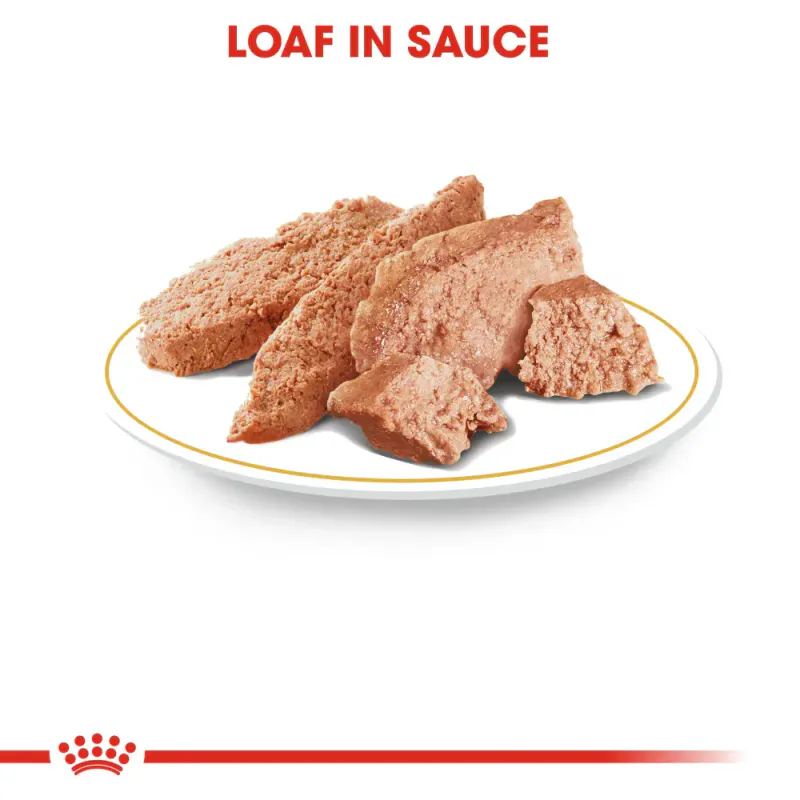 Royal Canin Våtfor Wet Poodle 85g