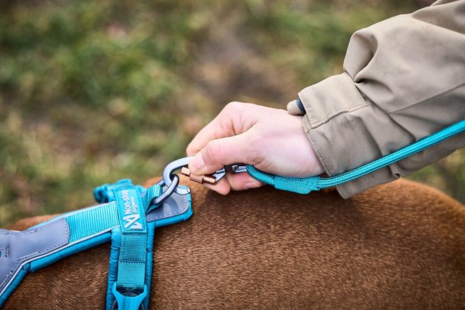 Hovedbilde Non-stop dogwear Trekking rope leash