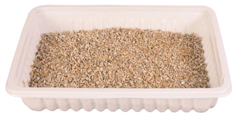 Kattegress Refil Biologisk 100g
