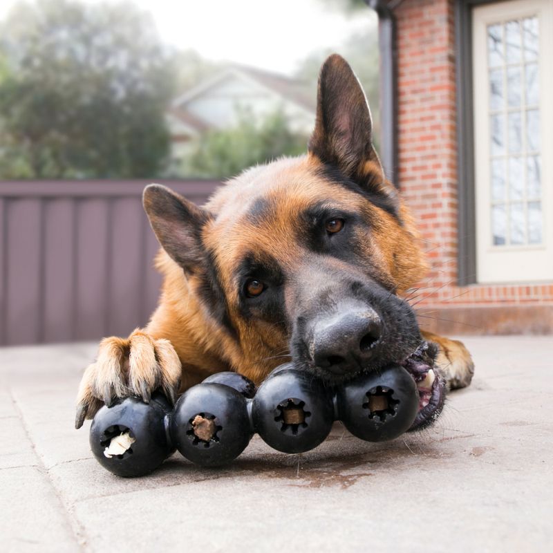 Hundeleke KONG Extreme Goodie Ribbon