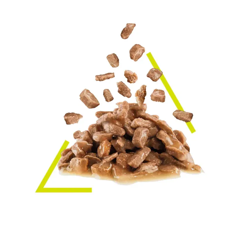 Royal Canin Våtfor Sensory Aroma Gravy 85g