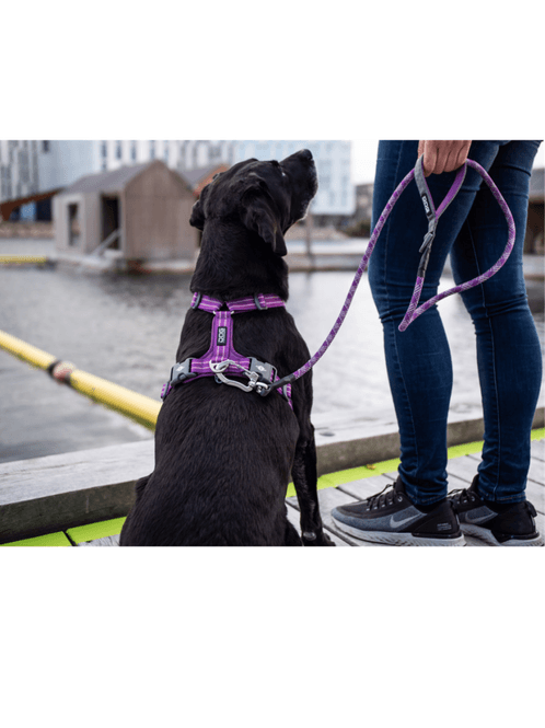 Hovedbilde DOG Copenhagen Comfort Walk Air Sele