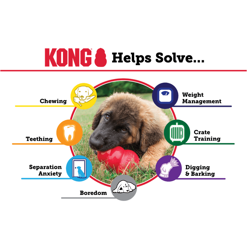 Hundeleke KONG Classic Puppy