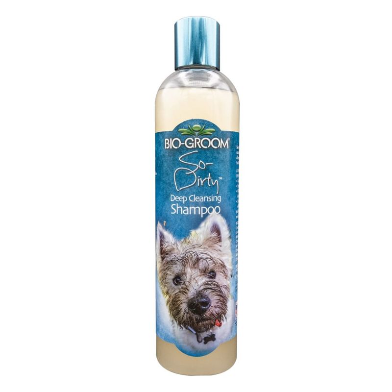 Bio-Groom Shampoo So Dirty 355ml