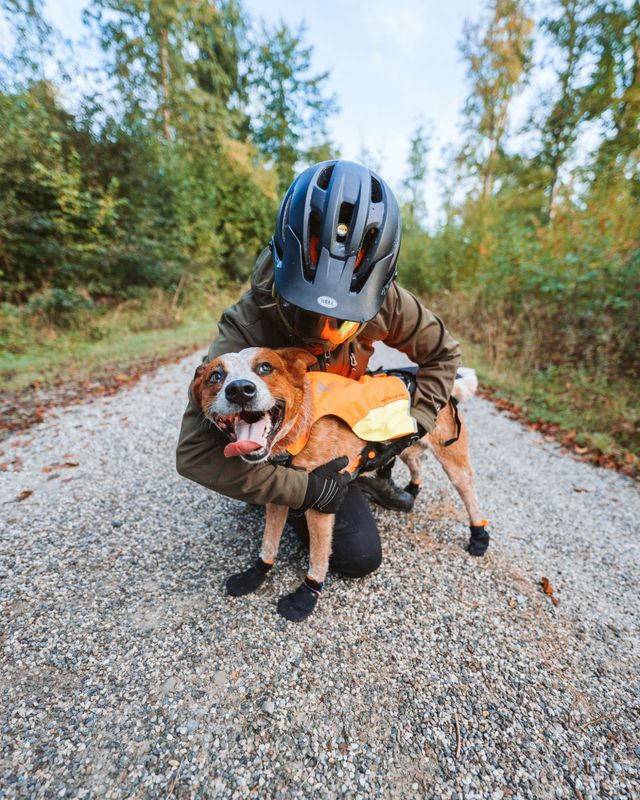 Non-stop dogwear Protector bootie potesokk