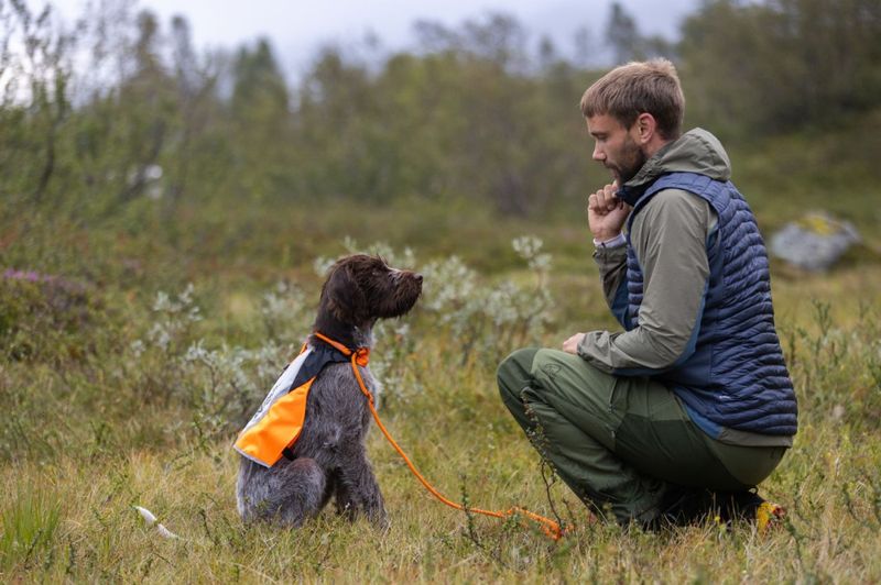 Non-stop dogwear Protector cover 2.0