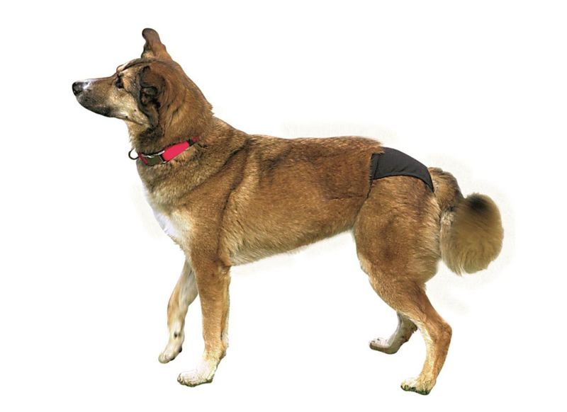 Tispebukse Trixie Lux XS-XL