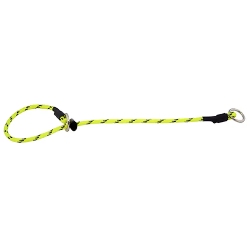 Alac Halsband Dressurstrup