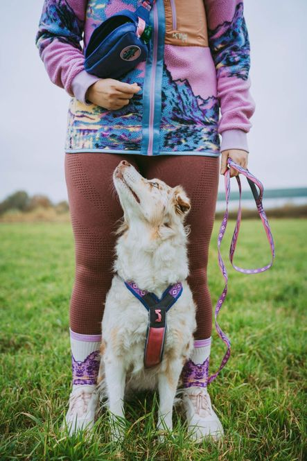 Hovedbilde Non-stop dogwear Trail quest leash Rachel Pohl ...
