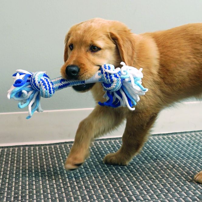 Hovedbilde Hundeleke KONG Rope Ball Puppy